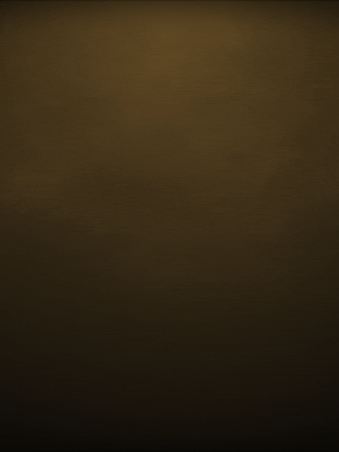 Bokai Logo motion graphics